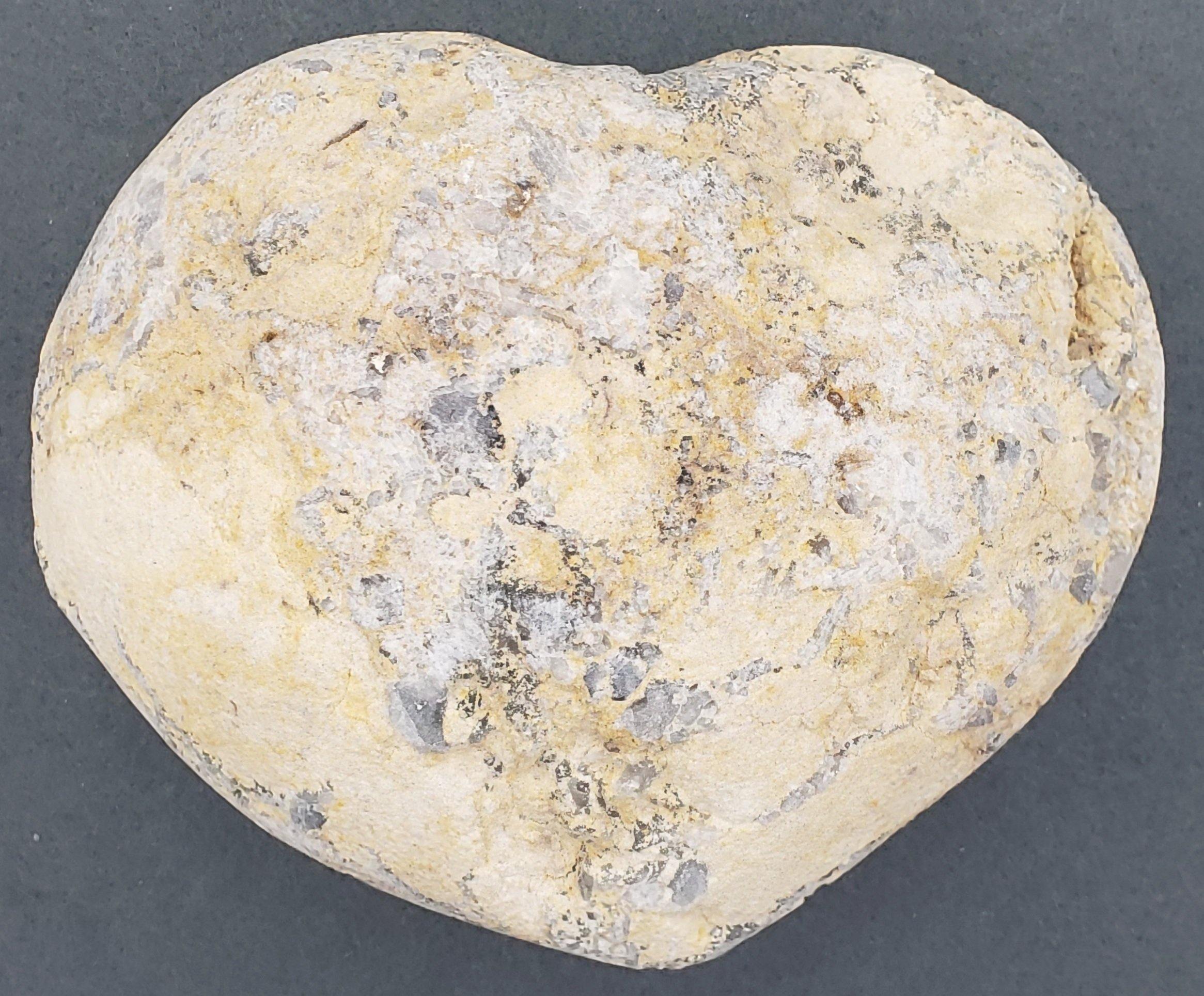 Celestite Heart Geode 5' - CRYSTAL LIGHT ELEMENTS 